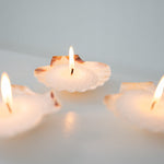 Scented & Unscented Sand | Fragrance Oils